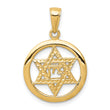 10k Jewish Chi in Star of David Pendant