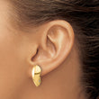 14K Polished Omega Back Earrings
