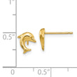 14k Small Dolphin Post Earrings