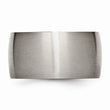 Titanium 12mm Brushed Band