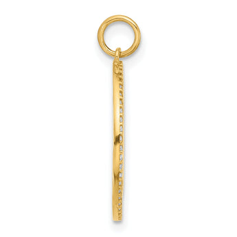 10K Polished Colorful CZ Good Luck Medallion Charm