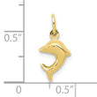 10k Dolphin Charm