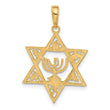 10K Star of David w/Menorah Pendant