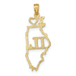 10K Solid Illinois State Pendant
