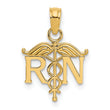 10K Registered Nurse Pendant