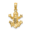 10k Textured Top View FROG Charm