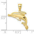 10K 2-D Polished and Engraved Dolphin Charm