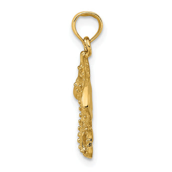 10K 2-D Stingray Charm