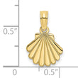 10K Polished and Engraved Shell Charm