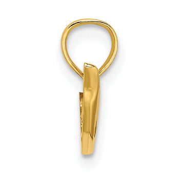 10K Polished Mini Dolphin Charm