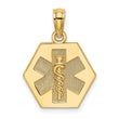 10k Medical Disc Pendant