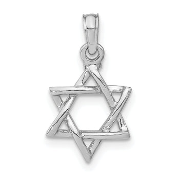10K White Gold 3-D Polished Star Of David Charm