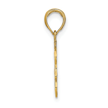 10K LEO Zodiac Charm