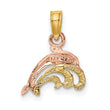 10K Two-Tone W/White Rhodium Dolphin and Wave Charm