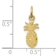10k Polished Pineapple Charm