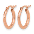 10K Rose Gold Polished Hinged Hoop Earrings - Birthstone Company