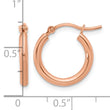 10K Rose Gold Polished Hinged Hoop Earrings - Birthstone Company