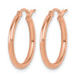 10K Rose Gold Polished Hinged Hoop Earrings - Birthstone Company