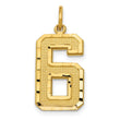 10ky Casted Large Diamond Cut Number 6 Charm