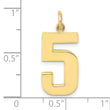 10ky Casted Large Polished Number 5 Charm