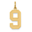 10k Medium Satin Number 9 Charm