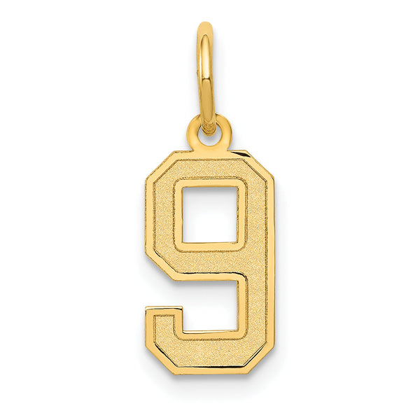 10k Small Satin Number 9 Charm
