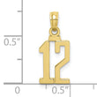 10K Number 12 Pendant