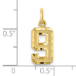 10ky Casted Small Diamond-cut Number 9 Charm