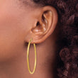 10k Satin and Diamond-cut 2mm Round Tube Hoop Earrings