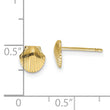 10k Mini Scallop Shell Post Earrings