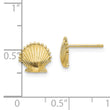 10K Scallop Shell Post Earrings