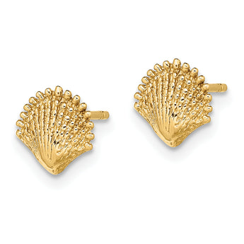 10K Scallop Shell Post Earrings