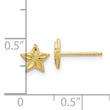 10k Polished & D/C Star Post Earrings
