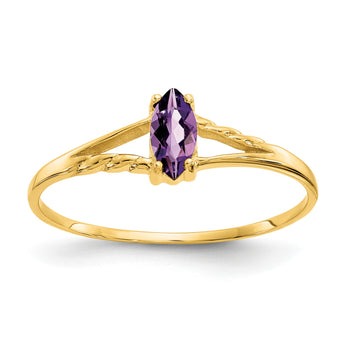 10k Polished Genuine Amethyst Birthstone Ring, Size 7 - Birthstone Company