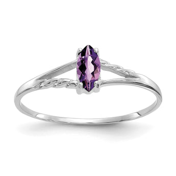 10k White Gold Polished Genuine Amethyst Birthstone Ring, Size 7 - Birthstone Company