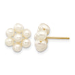 10k 3-4mm White Egg Freshwater Cultured Pearl Flower Post Earrings - Birthstone Company