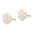 10k 2-3mm White Egg Freshwater Cultured Pearl Flower Post Earrings - Birthstone Company