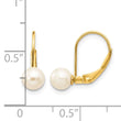 10k 5-6mm White Round Freshwater Cultured Pearl Leverback Earrings - Birthstone Company