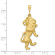 10k Leo Zodiac Charm