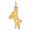 10k Satin Aries Zodiac Charm