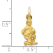 10k Aquarius Zodiac Charm