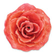 Lacquer Dipped Pink Real Rose Adjustable Silver-tone Ring