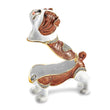 Luxury Giftware Pewter Bejeweled Crystals Gold-tone Enameled MAC English Bulldog Trinket Box with Matching 18 Inch Necklace