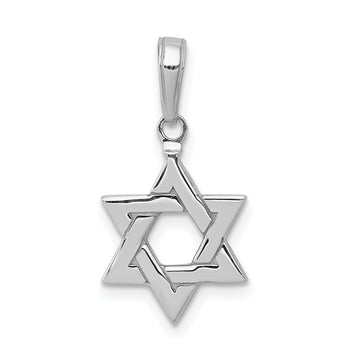 14k White Gold Polished Star of David Pendant