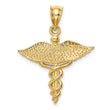 14K Polished 3-D Medical Pendant