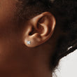 14K White Gold 1/2 ct Certified Lab-Created Diamond VS+ F+, Princess-Cut 4-Prong Stud Earrings - Birthstone Company