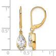 True Origin 14K Yellow Gold 1 3/4 carat Lab Grown Diamond VS+ F+ Complete Leverback Earrings - Birthstone Company