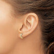14k 1/8 carat Lab Grown Diamond VS/SI+ G+ Complete Hinged Hoop Earrings - Birthstone Company