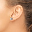10k White Gold Diamond Post Earrings
