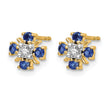 14k .01 carat Lab Grown Diamond VS/SI+ G+ and Created Sapphire Complete Post Earrings - Birthstone Company